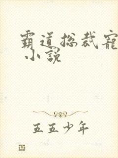 霸道总裁宠上天 小说