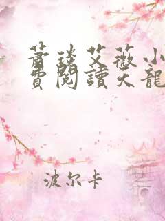 萧琰艾薇小说免费阅读天龙殿