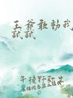 王爷敢动我妈咪试试