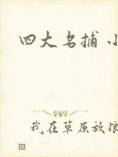 四大名捕 小说
