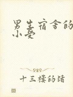 男生宿舍的公共小受