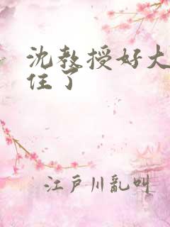 沈教授好大含不住了