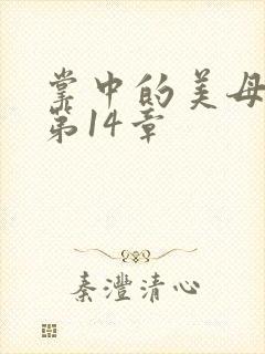 掌中的美母版主第14章