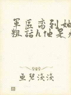 军区脔到她哭h粗话h他是疯批