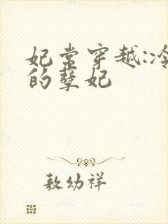 妃常穿越:冷王的孽妃