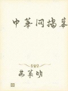 中华网揭幕内参