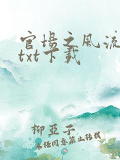 官场之风流人生txt下载