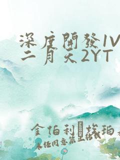 深度开发1V3二月天2YT