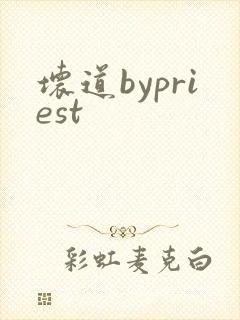坏道bypriest