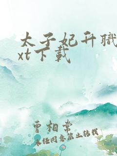 太子妃升职记txt下载