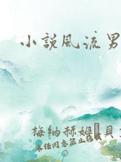 小说风流男护理