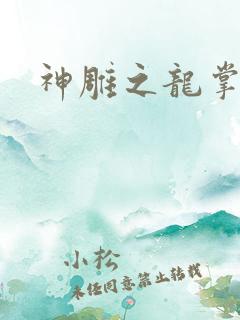 神雕之龙掌门