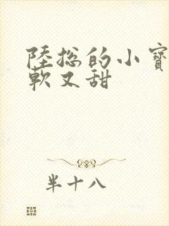 陆总的小宝贝又软又甜