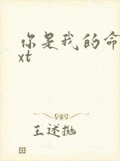 你是我的命运txt