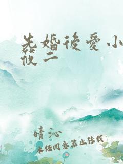 先婚后爱小说梦筱二