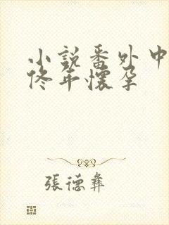 小说番外中结局佟年怀孕