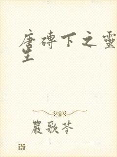 唐砖下之灵域双生