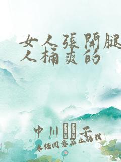 女人张开腿让男人桶爽的