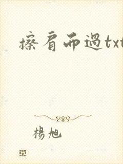 擦肩而过txt