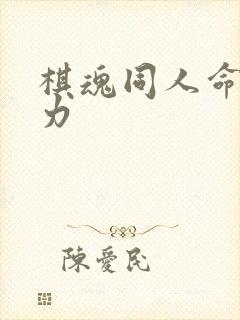 棋魂同人命运之力