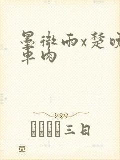 墨微雨x楚晚宁车肉