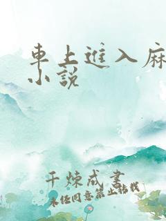 车上进入麻麻的小说