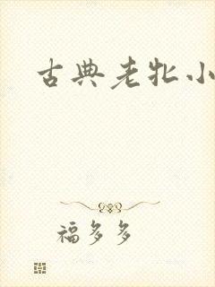 古典老牝小说
