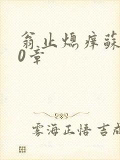 翁止熄痒苏钥10章