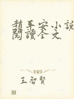 赵平安小说免费阅读全文