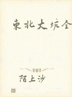 东北大坑全集