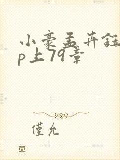 小豪孟卉钰慧三p上79章