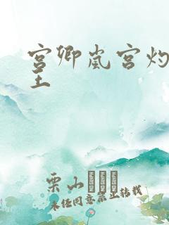 宫卿岚宫灼摄政王