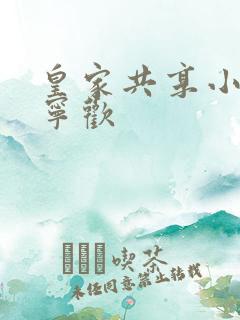 皇家共享小公主宁欢