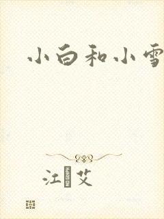 小白和小雪