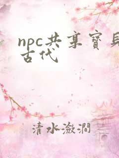 npc共享宝贝古代