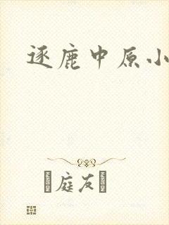 逐鹿中原小说