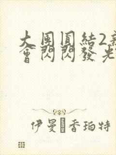 大团圆结2亲情会闪闪发光目录