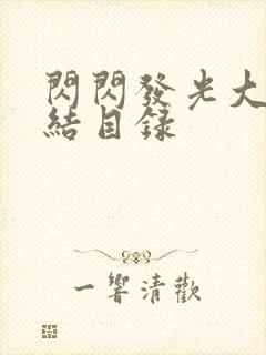 闪闪发光大团圆结目录