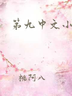 第九中文小说网