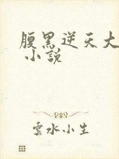 腹黑逆天大小姐 小说