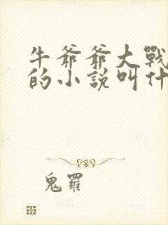 牛爷爷大战小丽的小说叫什么