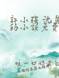 许小强 沈丽娟的小说免费阅读