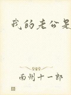 我的老公是冥王