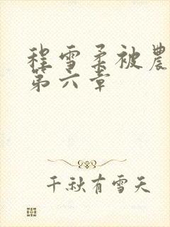 程雪柔被农民工第六章