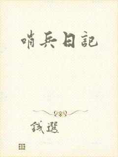 哨兵日记