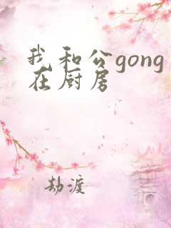 我和公gong在厨房