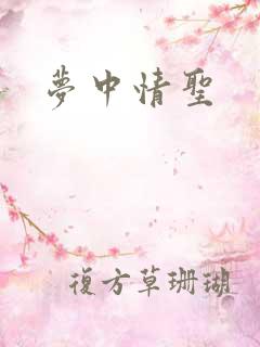 梦中情圣