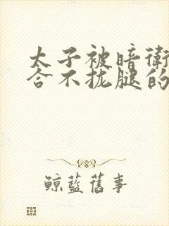 太子被暗卫c到合不拢腿的后果