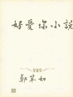 好爱你小说