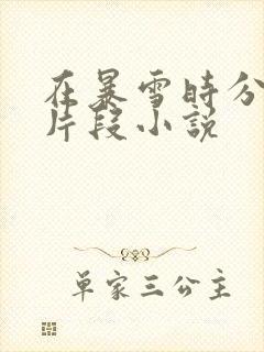 在暴雪时分高能片段小说